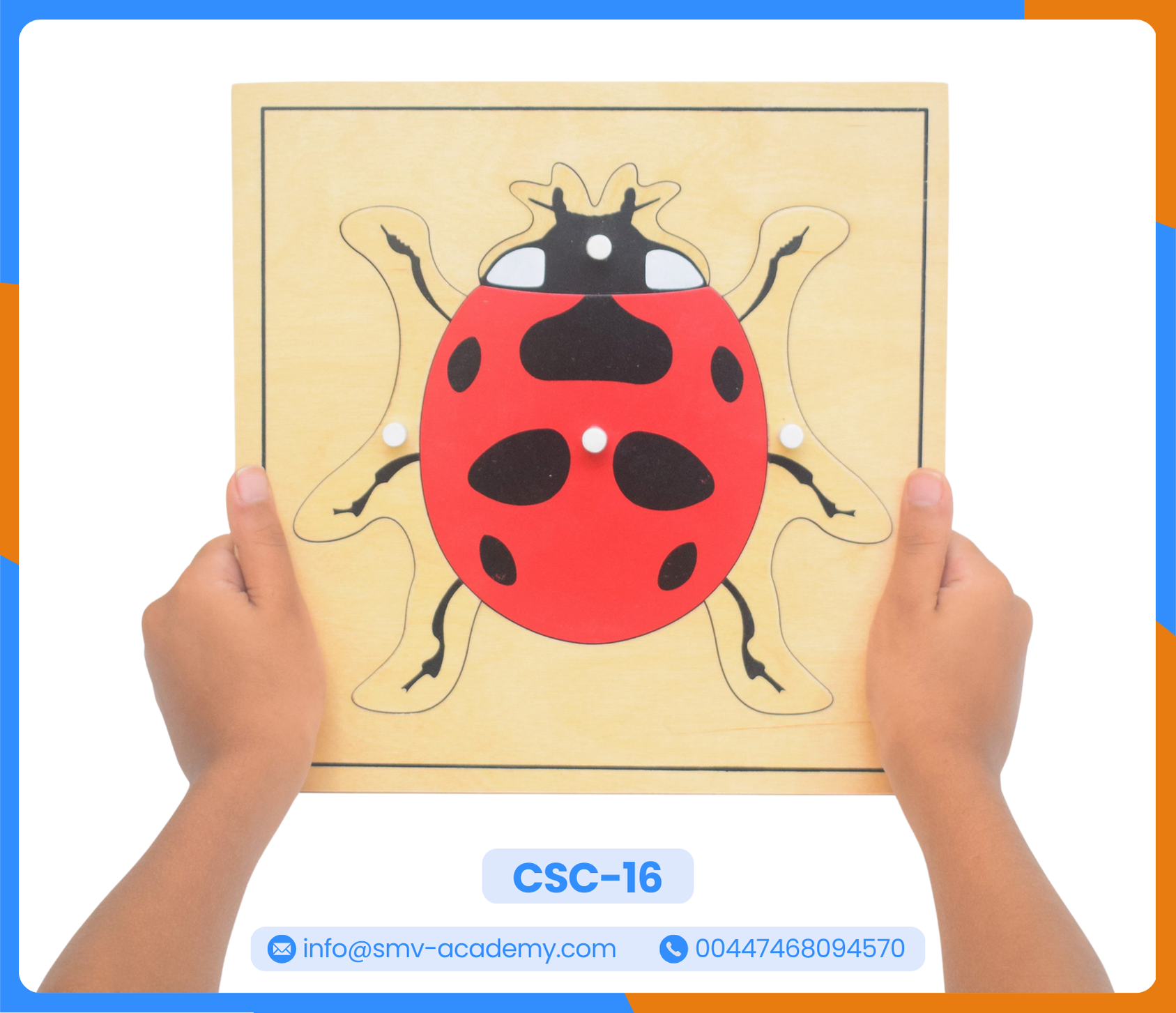 بازل أجزاء الدعسوقة - Parts of a Ladybug Puzzle